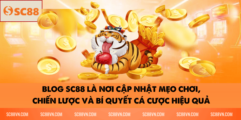 BLOG SC88 là nơi cập nhật mẹo chơi, chiến lược và bí quyết cá cược hiệu quả